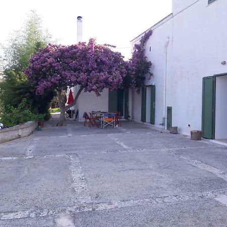 Fra Il Glicine E Il Sambuco Monopoli Exterior foto