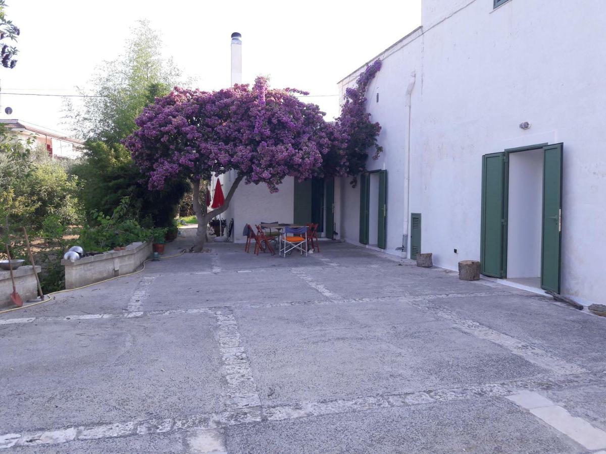 Fra Il Glicine E Il Sambuco Monopoli Exterior foto