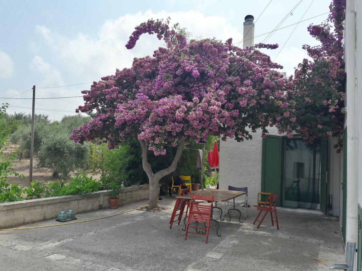 Fra Il Glicine E Il Sambuco Monopoli Exterior foto