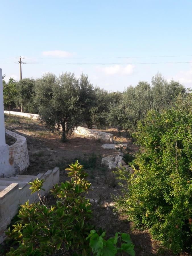 Fra Il Glicine E Il Sambuco Monopoli Exterior foto